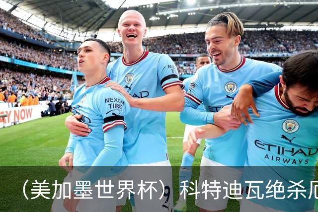 （美加墨世界杯）科特迪瓦绝杀厄瓜多尔 瑞典5:1大胜突尼斯