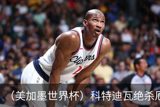 （美加墨世界杯）科特迪瓦绝杀厄瓜多尔 瑞典5:1大胜突尼斯